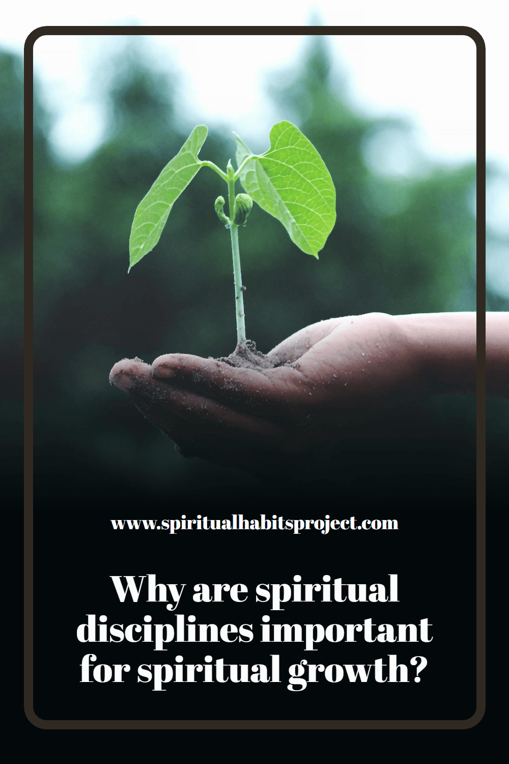 Why are spiritual disciplines important for spiritual growth?